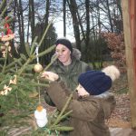 V Křenovicích ozdobili vánoční stromek v lesním divadle. Vede k němu adventní stezka