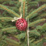 V Křenovicích ozdobili vánoční stromek v lesním divadle. Vede k němu adventní stezka