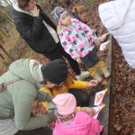 V Křenovicích ozdobili vánoční stromek v lesním divadle. Vede k němu adventní stezka