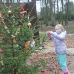 V Křenovicích ozdobili vánoční stromek v lesním divadle. Vede k němu adventní stezka