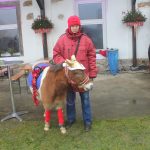 Advent na bernartické faře nabídl unikátní výstavu betlémů. K vidění bude i v dalších dnech