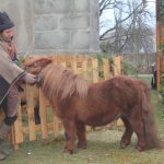 V Blatné udržují tradici živého betlému. Kdo se stal letos Ježíškem?