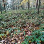 Na novoroční výstup do Zahořan