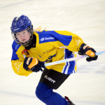 Mladší žáci Milevska v mezinárodní bitvě rozstříleli Rakušany