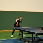 VIDEO: Vánoční turnaj v Dražicích vyhráli Michal Kolář a Štěpán Pistulka