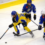 Starší žáci Milevska vynulovali Veselí