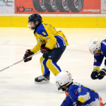 Starší žáci Milevska vynulovali Veselí