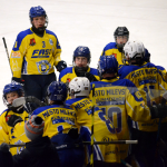 Starší žáci Milevska vynulovali Veselí