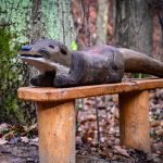 V Píseckých horách je nová stezka pro děti, provázet je po ní bude skřítek Pimon