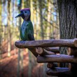 V Píseckých horách je nová stezka pro děti, provázet je po ní bude skřítek Pimon