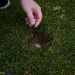 Tradiční sázení šupiny na Soukeníku doprovodilo zajímavé prohlášení zakladatele tradice. Na akci dorazil i nový ředitel Táborský