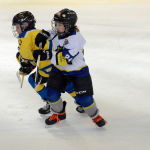 Milevští čtvrťáci opanovali domácí turnaj