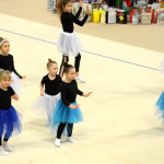 VIDEO: Jak oslavily milevské moderní gymnastky Vánoce?