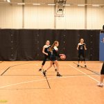 Hráčky Volejbalu Tábor U14 bojovaly s prořídlou sestavou. Na krajském přeboru před domácím publikem ovšem uspěly