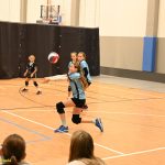 Hráčky Volejbalu Tábor U14 bojovaly s prořídlou sestavou. Na krajském přeboru před domácím publikem ovšem uspěly