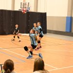 Hráčky Volejbalu Tábor U14 bojovaly s prořídlou sestavou. Na krajském přeboru před domácím publikem ovšem uspěly