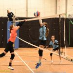 Hráčky Volejbalu Tábor U14 bojovaly s prořídlou sestavou. Na krajském přeboru před domácím publikem ovšem uspěly