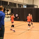 Hráčky Volejbalu Tábor U14 bojovaly s prořídlou sestavou. Na krajském přeboru před domácím publikem ovšem uspěly