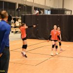 Hráčky Volejbalu Tábor U14 bojovaly s prořídlou sestavou. Na krajském přeboru před domácím publikem ovšem uspěly