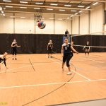 Hráčky Volejbalu Tábor U14 bojovaly s prořídlou sestavou. Na krajském přeboru před domácím publikem ovšem uspěly