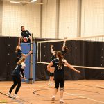 Hráčky Volejbalu Tábor U14 bojovaly s prořídlou sestavou. Na krajském přeboru před domácím publikem ovšem uspěly