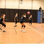 Hráčky Volejbalu Tábor U14 bojovaly s prořídlou sestavou. Na krajském přeboru před domácím publikem ovšem uspěly