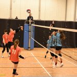 Hráčky Volejbalu Tábor U14 bojovaly s prořídlou sestavou. Na krajském přeboru před domácím publikem ovšem uspěly