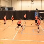 Hráčky Volejbalu Tábor U14 bojovaly s prořídlou sestavou. Na krajském přeboru před domácím publikem ovšem uspěly