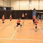 Hráčky Volejbalu Tábor U14 bojovaly s prořídlou sestavou. Na krajském přeboru před domácím publikem ovšem uspěly