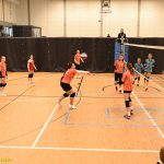Hráčky Volejbalu Tábor U14 bojovaly s prořídlou sestavou. Na krajském přeboru před domácím publikem ovšem uspěly