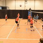 Hráčky Volejbalu Tábor U14 bojovaly s prořídlou sestavou. Na krajském přeboru před domácím publikem ovšem uspěly