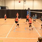 Hráčky Volejbalu Tábor U14 bojovaly s prořídlou sestavou. Na krajském přeboru před domácím publikem ovšem uspěly