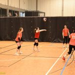 Hráčky Volejbalu Tábor U14 bojovaly s prořídlou sestavou. Na krajském přeboru před domácím publikem ovšem uspěly