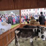 Milevský klášter ožil živým betlémem a koledami. Dorazili i tři králové na koních. Video