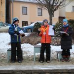 Mínus sedm a plná startovní čára. Silvestrovský běh v Jistebnici přilákal stovky lidí