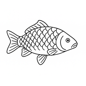 Poznejte symboly jihočeských Vánoc a vyhrajte prase, vyžínač, poukazy či kosmetiku - Jižní Čechy Teď!