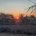 Hanka ze Zlivi našla druhý domov v africké vesnici Masajů. Snaží se teď pomoci tamním obyvatelům