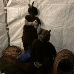 Čertovská neděle ve Veselí: Pekelník předpověděl návštěvnici svatbu, lidé si vyzkoušeli i stará řemesla