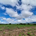 Hanka ze Zlivi našla druhý domov v africké vesnici Masajů. Snaží se teď pomoci tamním obyvatelům