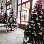 Nejhezčí stromeček? Chce to kapku fantazie. Dětská nápaditost v Hradci a zajímavá extravagance v Třeboni