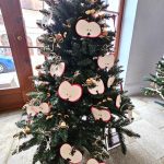 Nejhezčí stromeček? Chce to kapku fantazie. Dětská nápaditost v Hradci a zajímavá extravagance v Třeboni