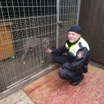 Zástupci nemocnice předali první část charitativní sbírky prachatickému útulku