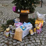 Navštivte Cipíska! Vánoce mohou být v třeboňském Ekocentru vydra každý den