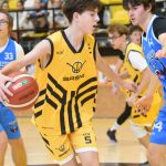 Mladí Sršni nedali táborským Medvědům šanci