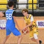 Mladí Sršni nedali táborským Medvědům šanci