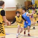 Mladí Sršni nedali táborským Medvědům šanci