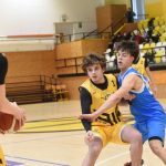 Mladí Sršni nedali táborským Medvědům šanci