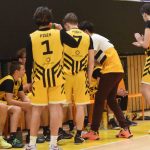 Mladí Sršni nedali táborským Medvědům šanci