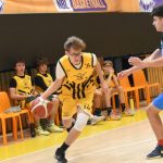 Mladí Sršni nedali táborským Medvědům šanci