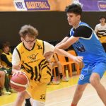 Mladí Sršni nedali táborským Medvědům šanci